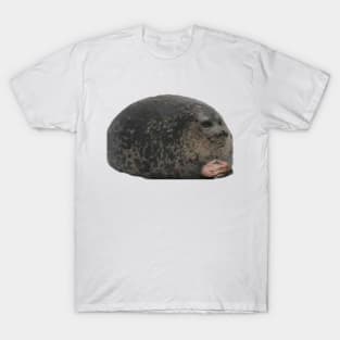 Big Blubber Meme Design T-Shirt